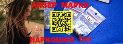 spice Бердск
